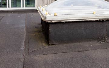 disadvantages of Muasdale flat roofs