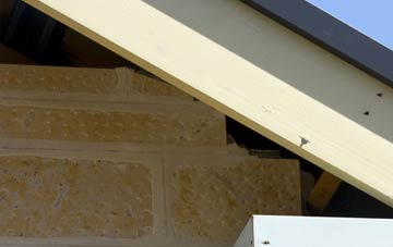 soffit repair Muasdale