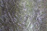 Muasdale fibreglass roof work